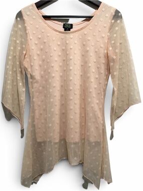 Blush Swiss Dot Sheer Mesh Asymmetrical Tunic Top Shannon Ford M